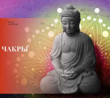 ОБЩЕЕ 3 360x320