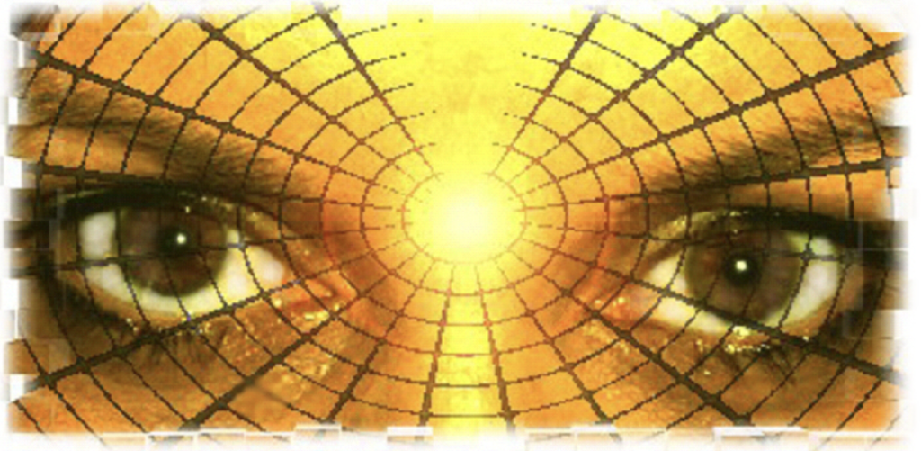 Снимок экрана 2024 10 16 в 07 55 18 1024x501